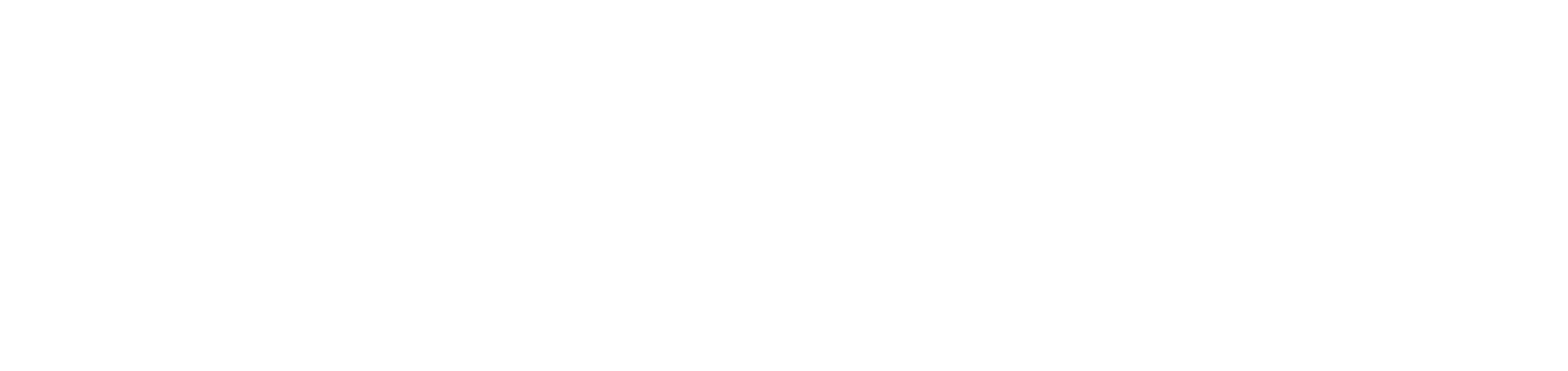 Solvix Ride